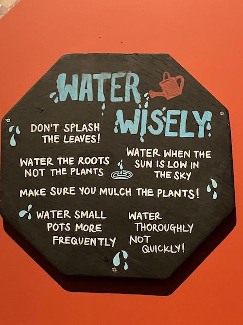 water wisely poster